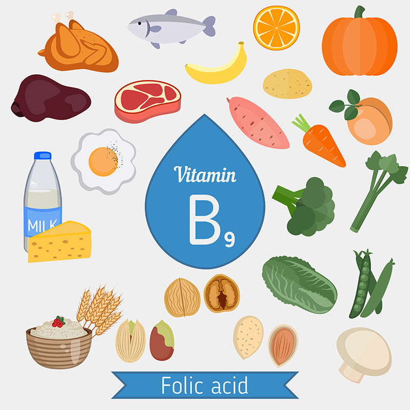 Methylfolate for Men: The Active Folate Form That Supports Performance and Control